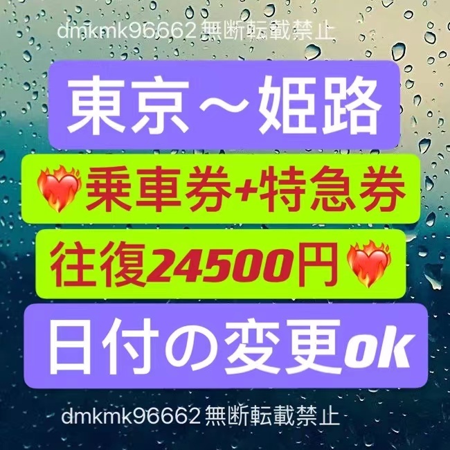 東京~姫路【日付変更可】東海道新幹線チケット 往復 自由席乗車券+特急 