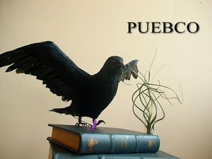 黒い鳥の値段と価格推移は 32件の売買情報を集計した黒い鳥の価格や価値の推移データを公開