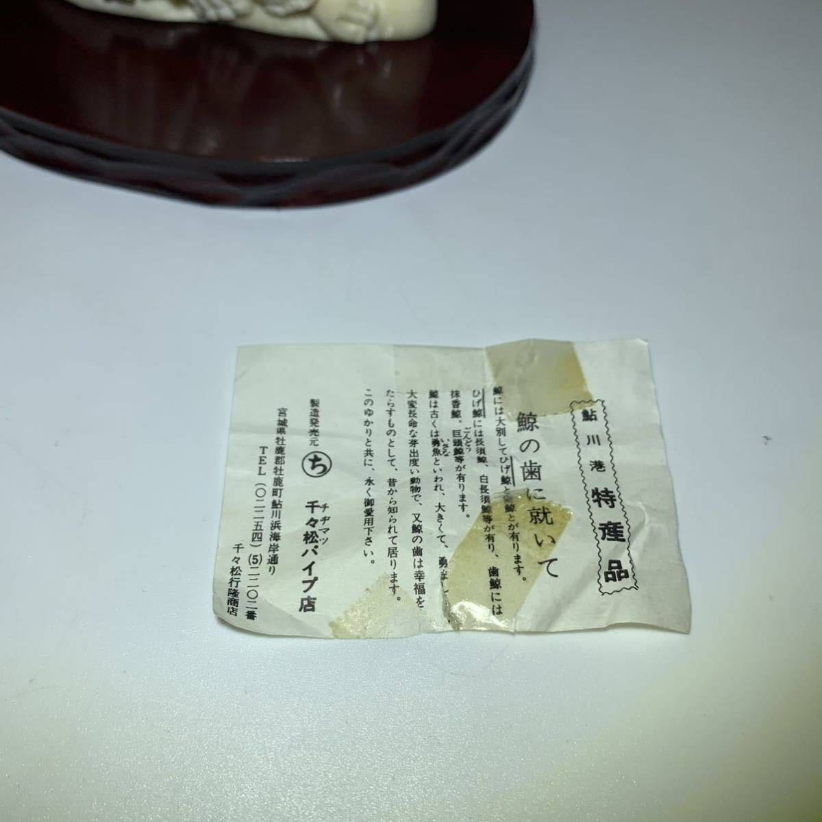 【希少】マッコウクジラの歯 2本セット 重量約60g コレクション素材 未加工 マッコウクジラ - 鯨歯 コレクション 2026年最新Yahoo!オークション