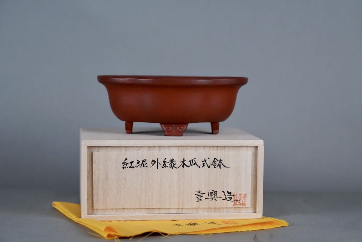 激安大特価，人気 盆栽鉢 渡辺壱興 大きなセンチ 紅泥外縁雲足 木瓜鉢 共箱布(鉢)｜売買されたオークション情報、yahooの商品情報をアーカイブ公開 - オークファン 鉢