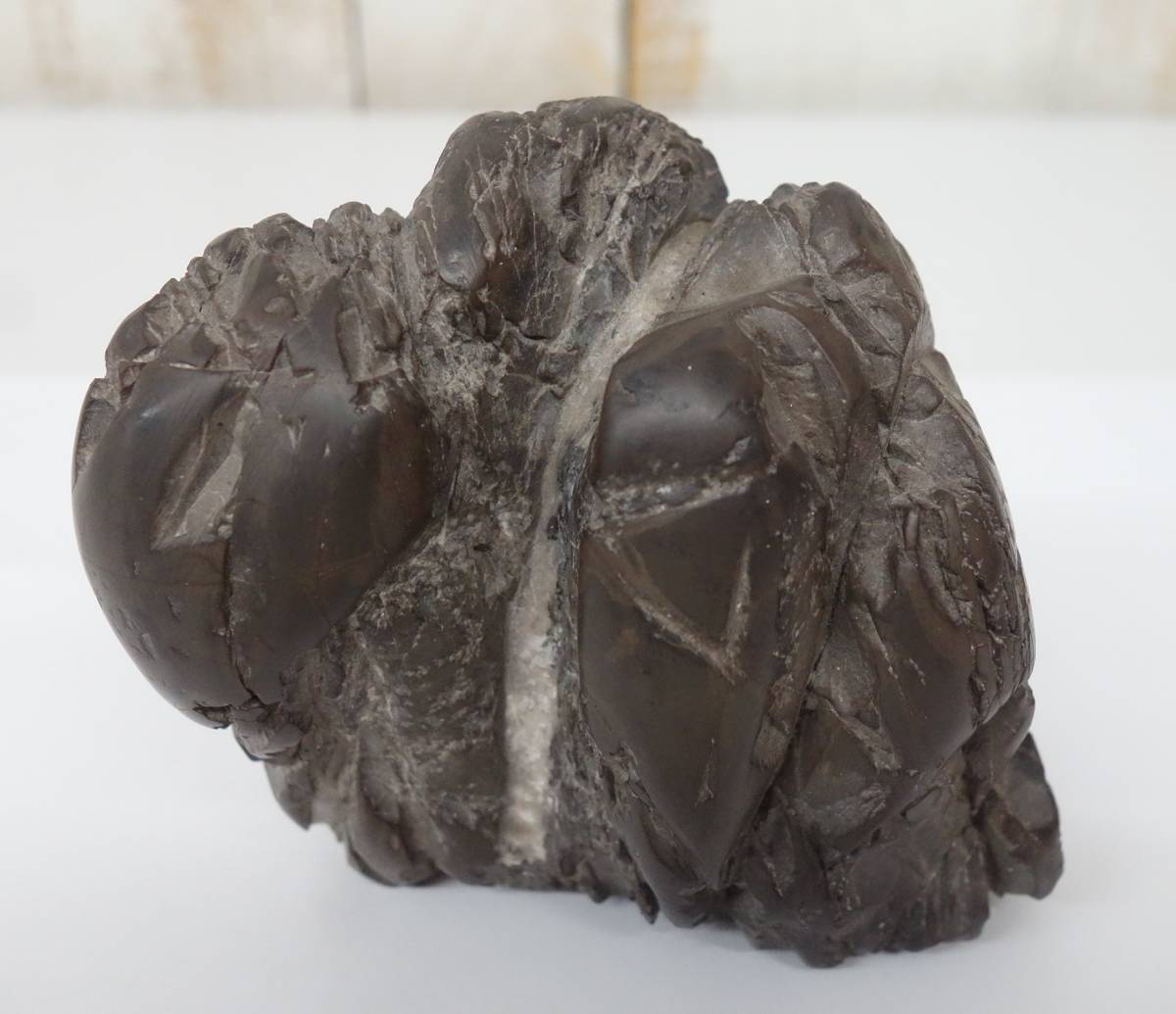 鑑賞石 鑑賞石（水石・盆石）を始める ～失われつつある自然石文化財～ | 石神