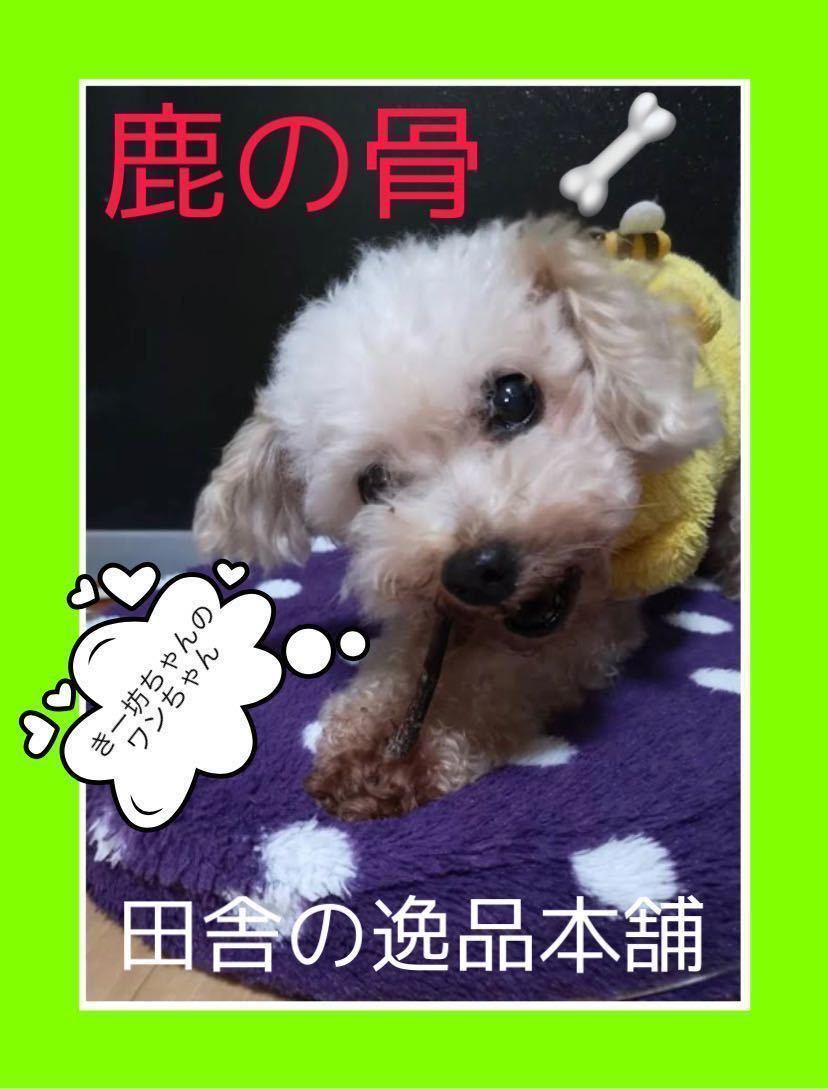 中型犬 大型犬用 鹿の骨 猪の骨詰め合わせ 4980円セット 800g以上 犬のおもちゃ 歯磨き ストレス発散に おもちゃ 売買されたオークション情報 Yahooの商品情報をアーカイブ公開 オークファン Aucfan Com