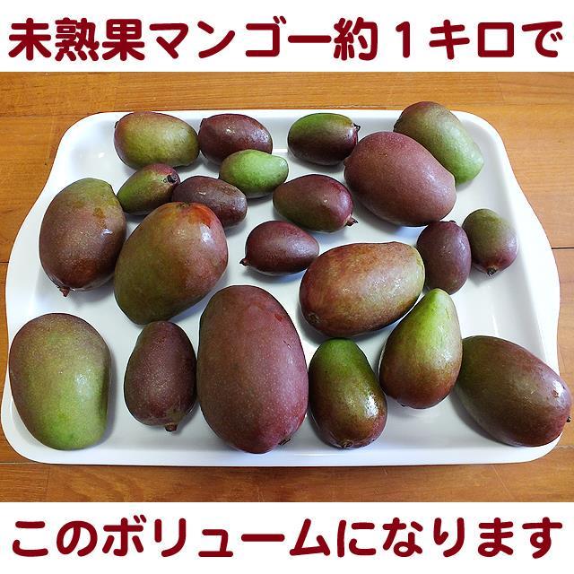 送料込】沖縄産摘果マンゴー約5キロ┃未熟果マンゴー┃グリーン