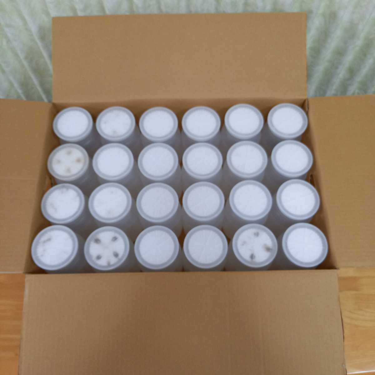 ペット用品 菌糸ボトル 800cc 100本 菌糸瓶 空ボトル 飼育ケース PPボトル