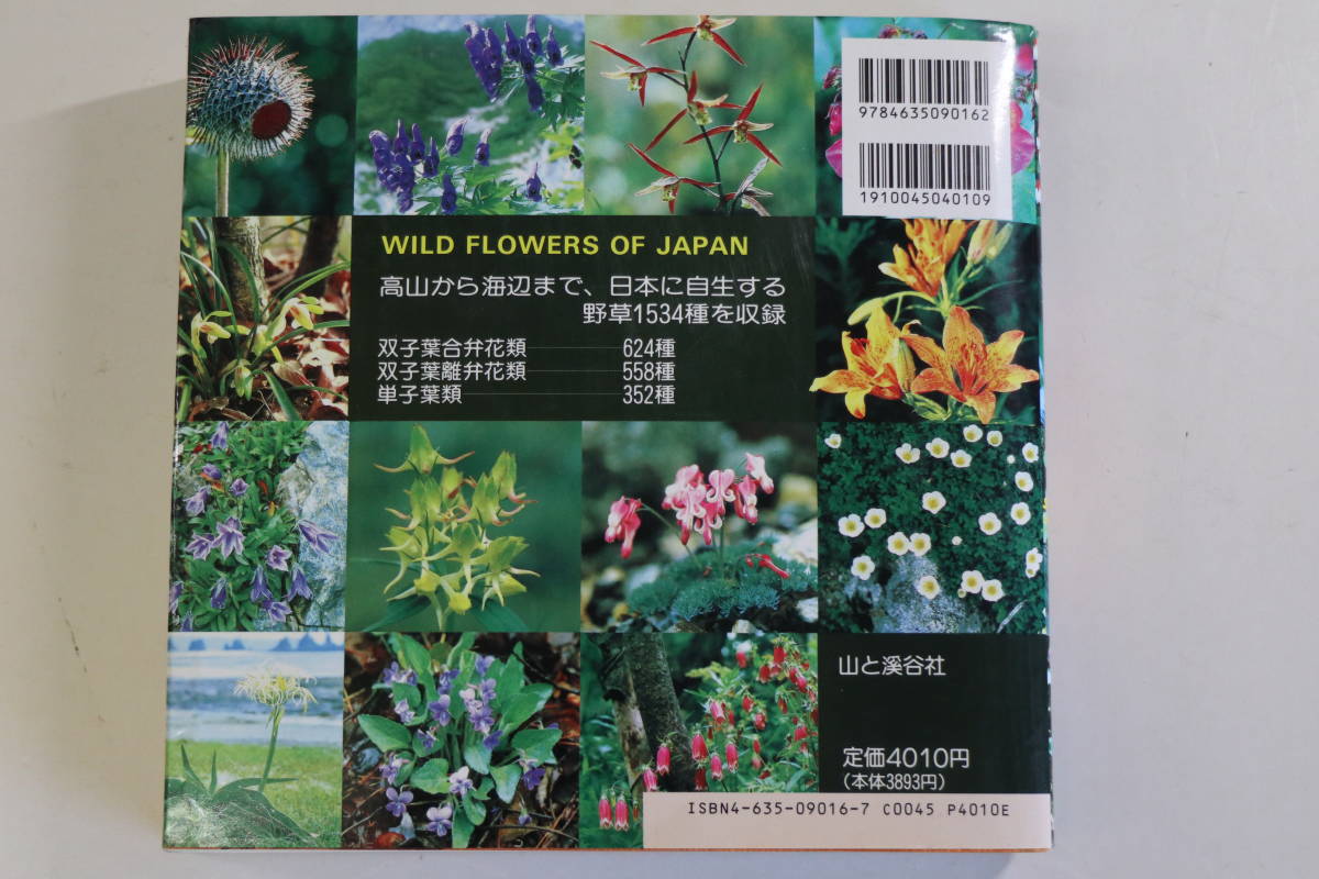山と渓谷社 山渓カラー名鑑 日本の野草 野草1534種を収録 野草 植物 売買されたオークション情報 Yahooの商品情報をアーカイブ公開 オークファン Aucfan Com