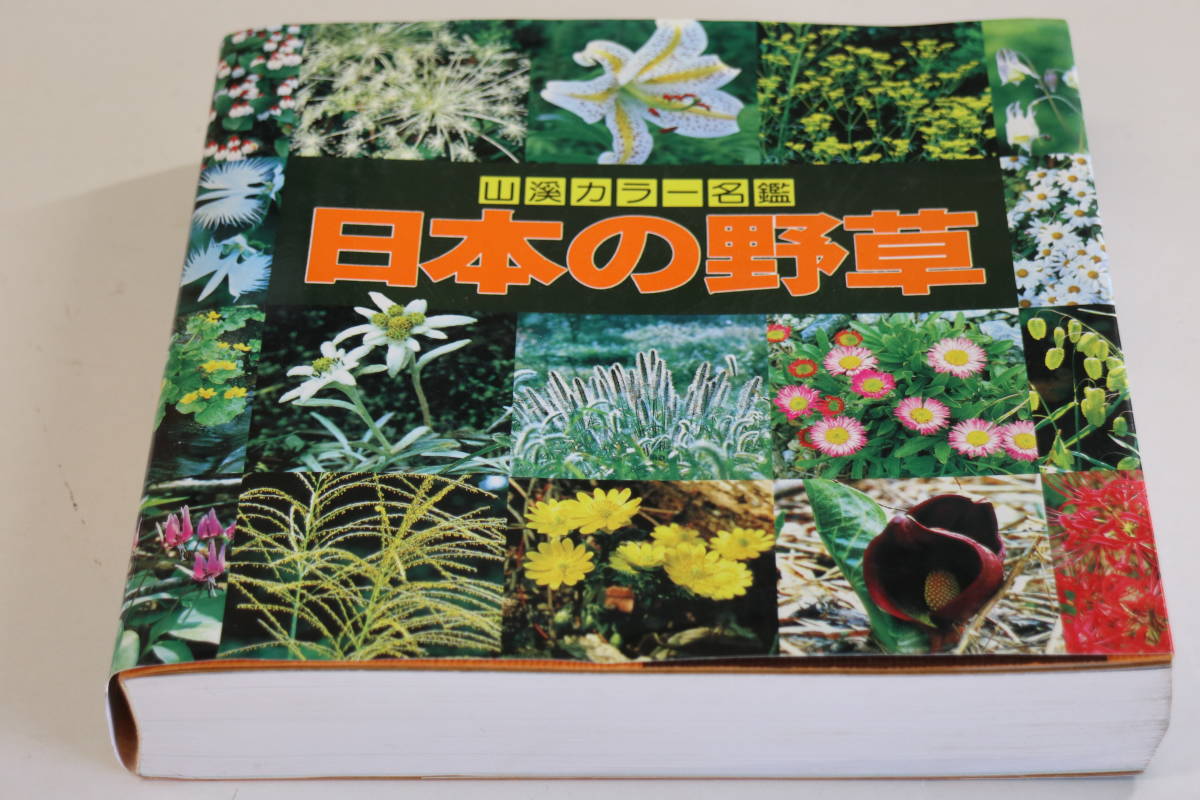 山と渓谷社 山渓カラー名鑑 日本の野草 野草1534種を収録 野草 植物 売買されたオークション情報 Yahooの商品情報をアーカイブ公開 オークファン Aucfan Com