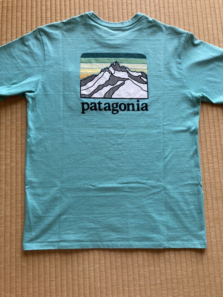 Patagonia パタゴニア メンズ Xs サイズ 半袖 Tシャツ ミント エメラルドグリーン Patagonia アウトドア キャンプ ニジマス 半袖tシャツ 売買されたオークション情報 Yahooの商品情報をアーカイブ公開 オークファン Aucfan Com