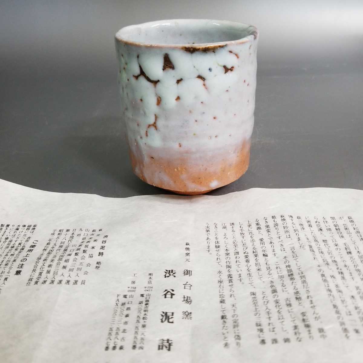 緒89）萩焼 渋谷泥詩 白萩湯呑み 湯飲み 茶器 未使用新品 同梱歓迎