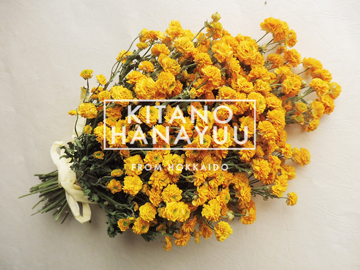 北の花遊 ラナンキュラスゴールドコイン１４０本r 03 一般 売買されたオークション情報 Yahooの商品情報をアーカイブ公開 オークファン Aucfan Com