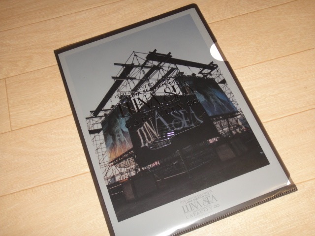 LUNA SEA/CAPACITY∞/DVD+フォトピンナップ集/ルナシー/ルナシー