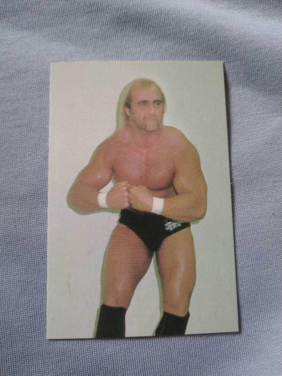ポピー スーパープロレスラーシリーズ ハルク・ホーガン ソフビ