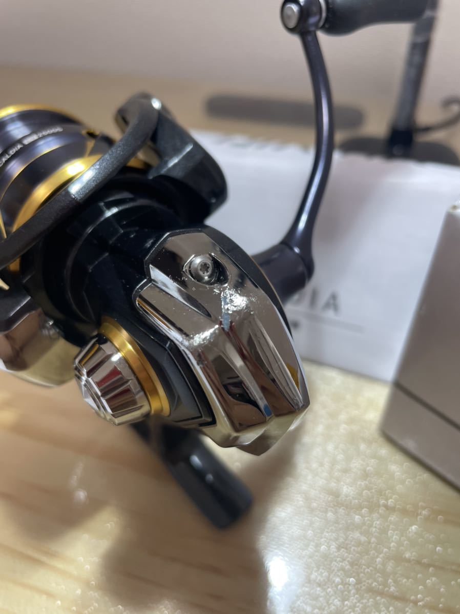 ダイワ(Daiwa) 21 カルディア LT2500S 00060286｜アウトドア用品
