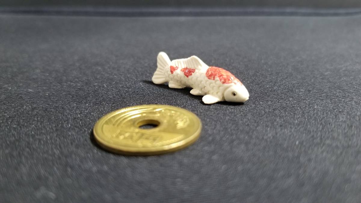 趣味が仕事でも・・・ ～盆栽・山野草・陶芸～ 雨宮園 : 雨宮忍 作 雨宮園⁄