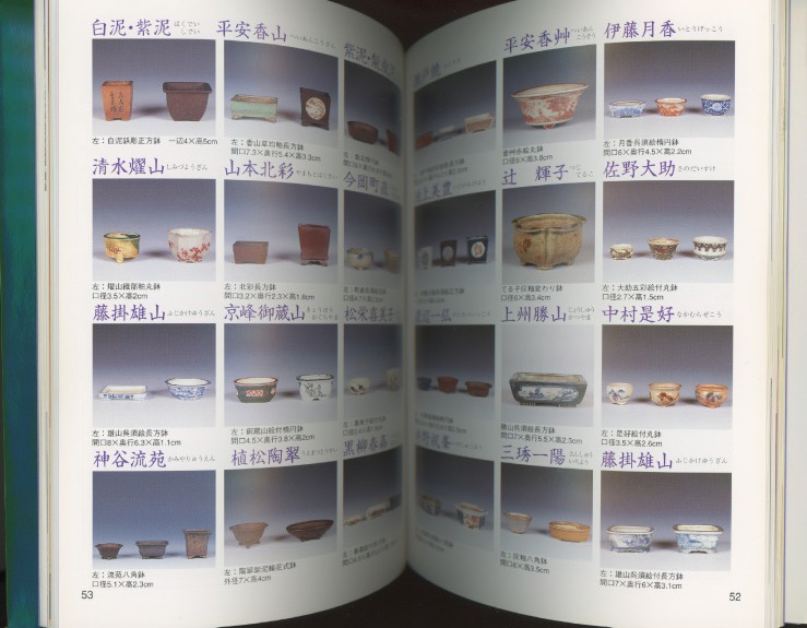 □鈴木亮介・プライベートコレクション「掌上の盆栽」検：竹本隼太・稚