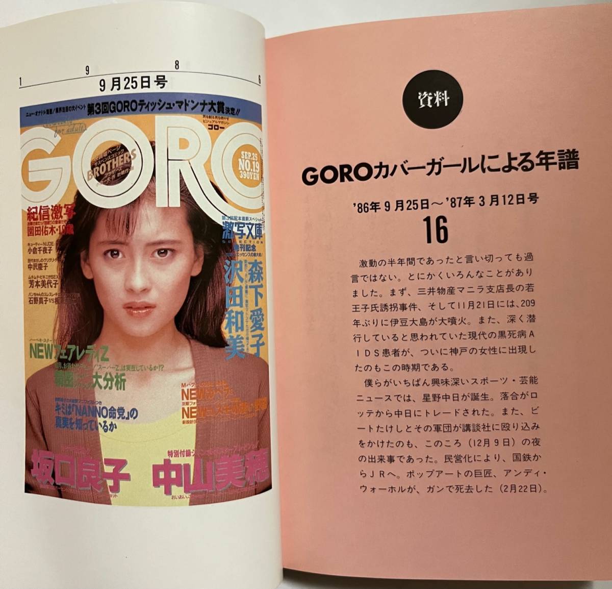 激写文庫写真集 | 篠山紀信 激写モデルの名前 | 石井めぐみ そっと 写真集 激写文庫/L25 – DBLUK