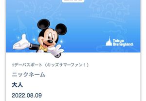 ディズニー大人ペアチケット 17 5 17まで Www Bssbeautyspot Com