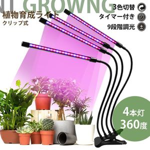 観葉植物のヤフオク の相場 価格を見る ヤフオク の観葉植物のオークション売買情報は2 175件が掲載されています