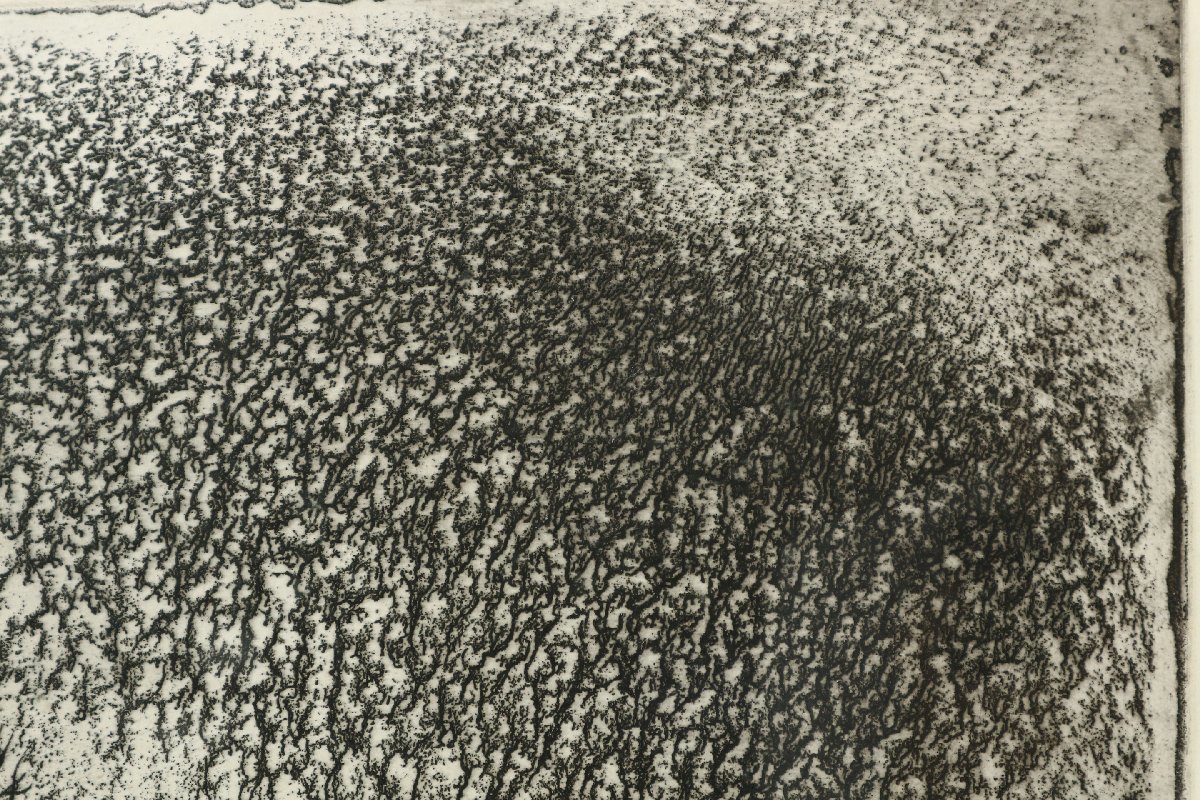 絵画買取・販売の小竹美術 増田誠「エッチング1」銅版画 多賀新「無題