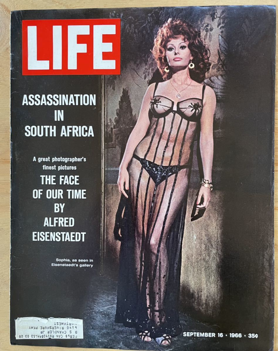 ソフィアローレン 表紙のみ Life ライフ雑誌 1966年9月16日発行 アメリカビンテージ雑誌 俳優洋書 広告 ポスター 外国語雑誌 売買されたオークション情報 Yahooの商品情報をアーカイブ公開 オークファン Aucfan Com
