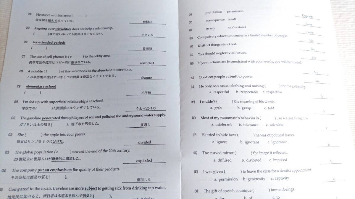 鉄緑会 大阪校高3英語A 夏休み鉄壁50問テスト集 1730