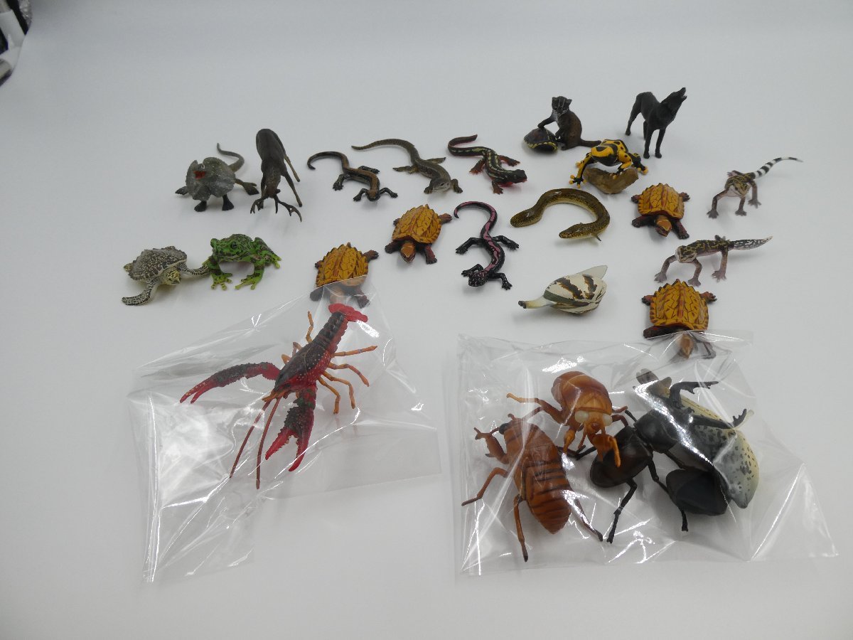 生物 チョコq 動物 フィギュア ペット チョコエッグ 5 限定 エボシカメレオン チョコq の屈指のレア品 カプセルq 爬虫類 弾 当選品 海洋堂 Lespetitesfolieshome Com