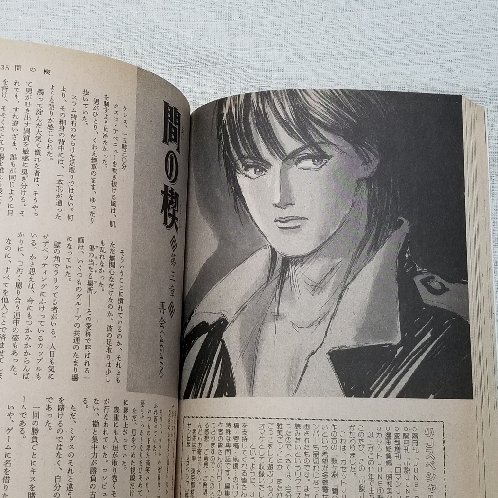 BL小説 JUNE全集Ⅱ 吉原理恵子 【公式通販】 BL小説 JUNE全集Ⅱ 吉原理恵子 【公式通販】