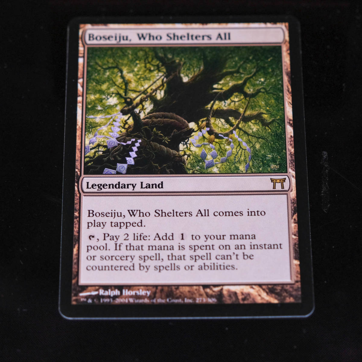 Who Shelters ⁄ マジック：ザ すべてを護るもの All（英語）MTG