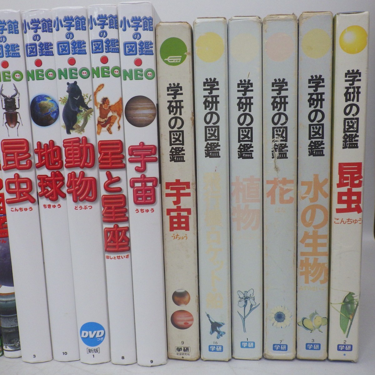 図鑑 まとめて36冊セット/小学館の図鑑 NEO 学研の図解 講談社こども 