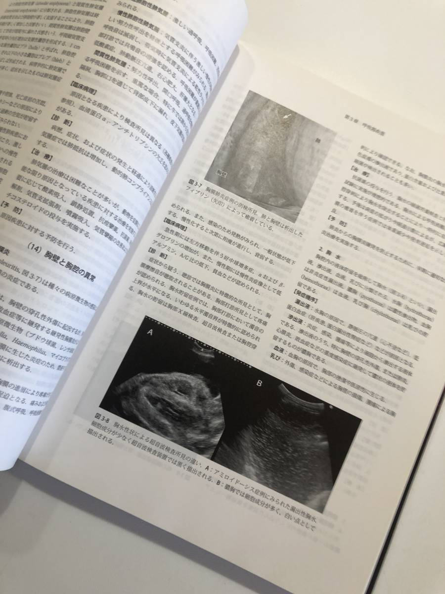 獣医内科学 第2版 小動物編 獣医内科学 第2版 小動物編 本 獣医内科学