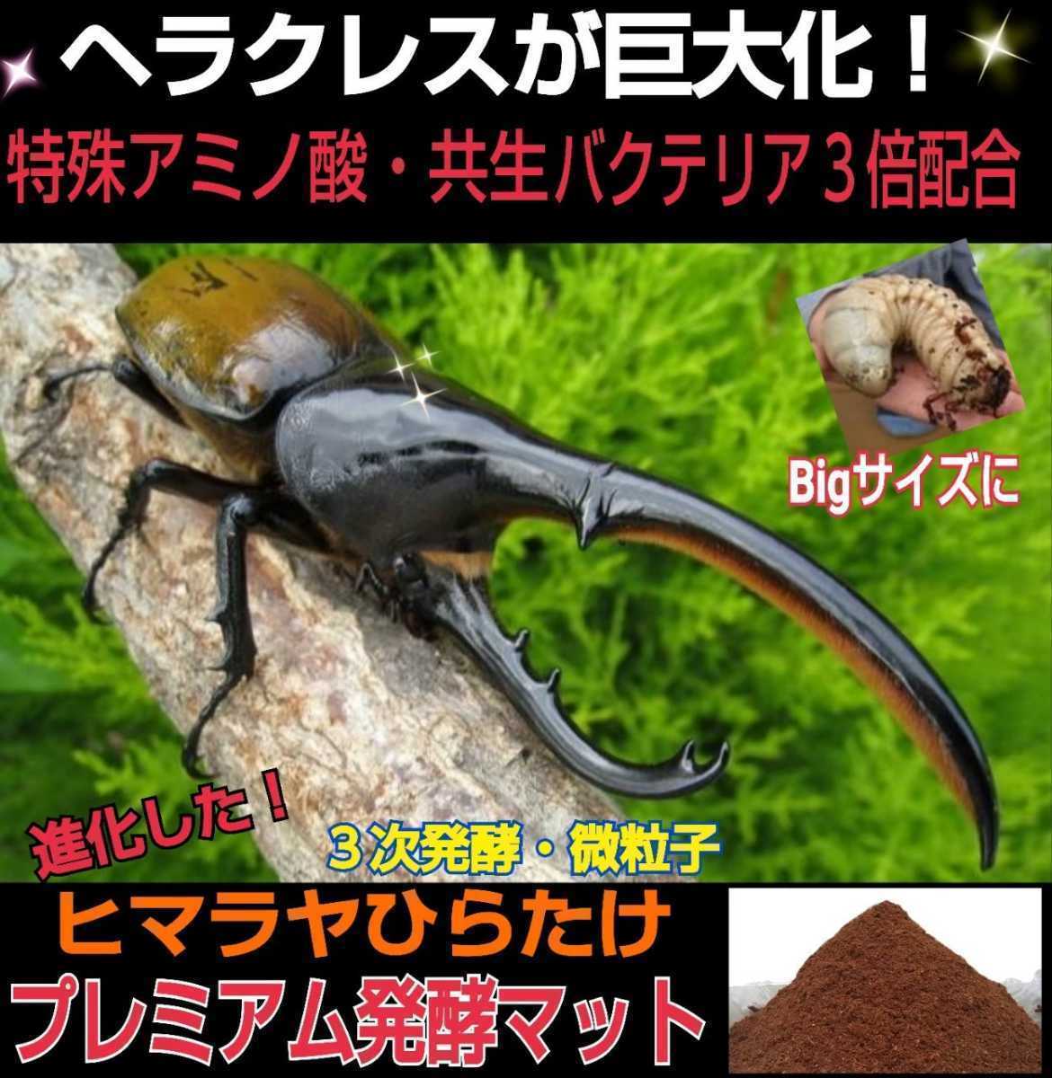 極上！プレミアム3次発酵カブトムシマット【50リットル】特殊アミノ酸強化配合！ 進化した！プレミアム3次発酵カブトムシマット☆特殊アミノ酸など栄養