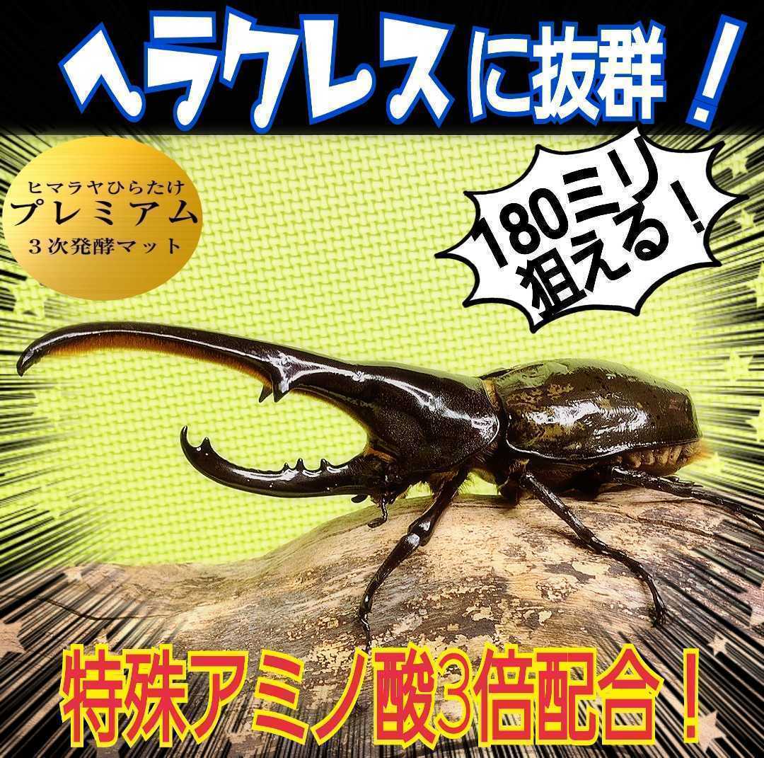 昆虫用品 極上！プレミアム3次発酵ヘラクレスマット【5袋】特殊