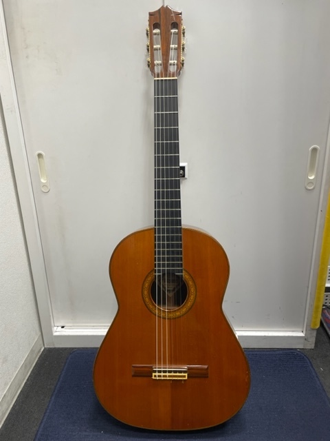 FERNANDES 0 ギター 公式通販 Fender Model Dreadnought All-Mahogany 