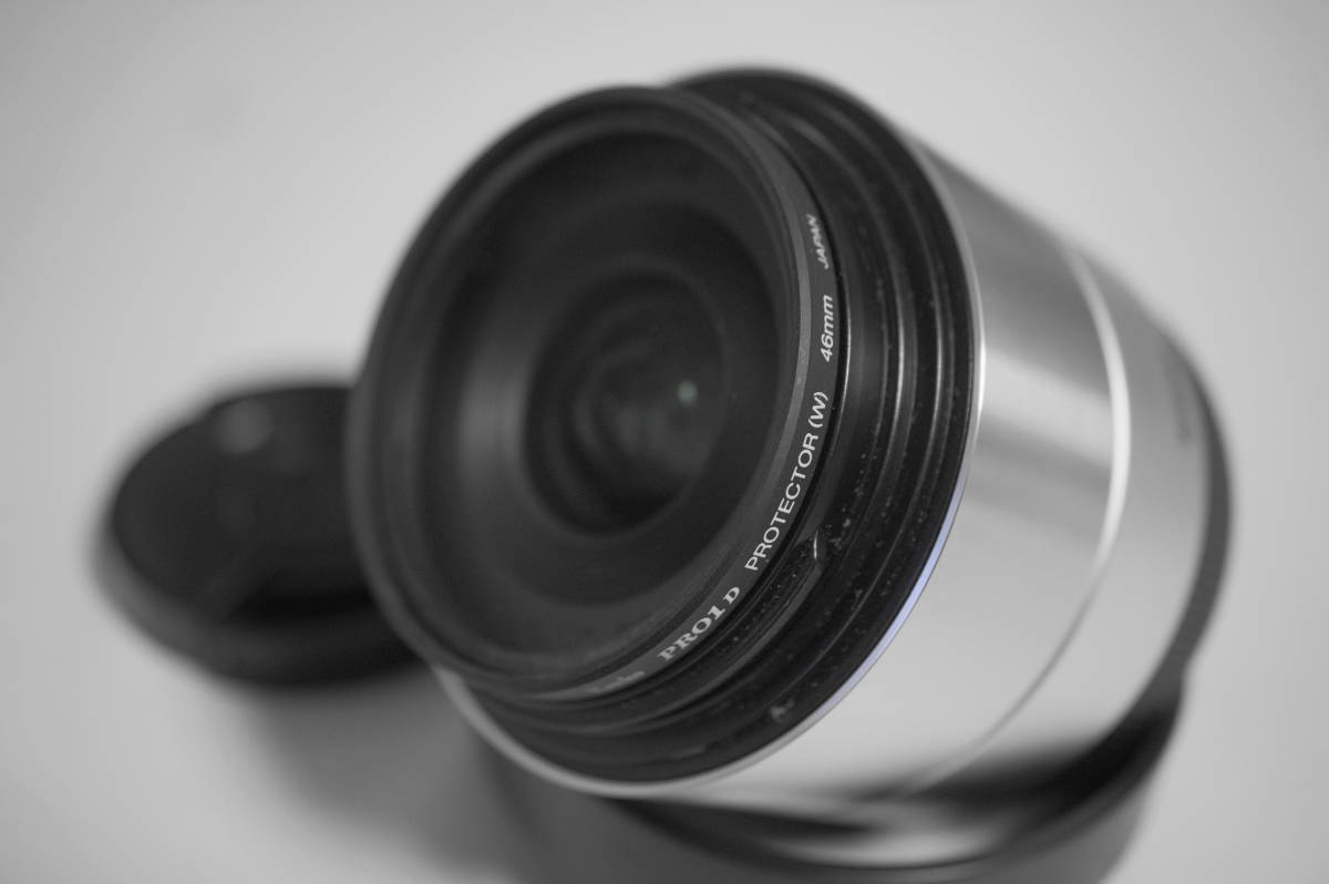正規品，お得 ソニーEマウント SIGMA DNレンズ Art 19mm F2.8 DN 保護フィルター付き シルバー/ 品(ソニー、ミノルタ)｜売買されたオークション情報、yahooの商品情報をアーカイブ公開 - オークファン ソニー、ミノルタ