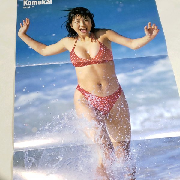川村ひかる 小向美奈子 両面印刷ピンナップポスター 約25×42cm 週刊 