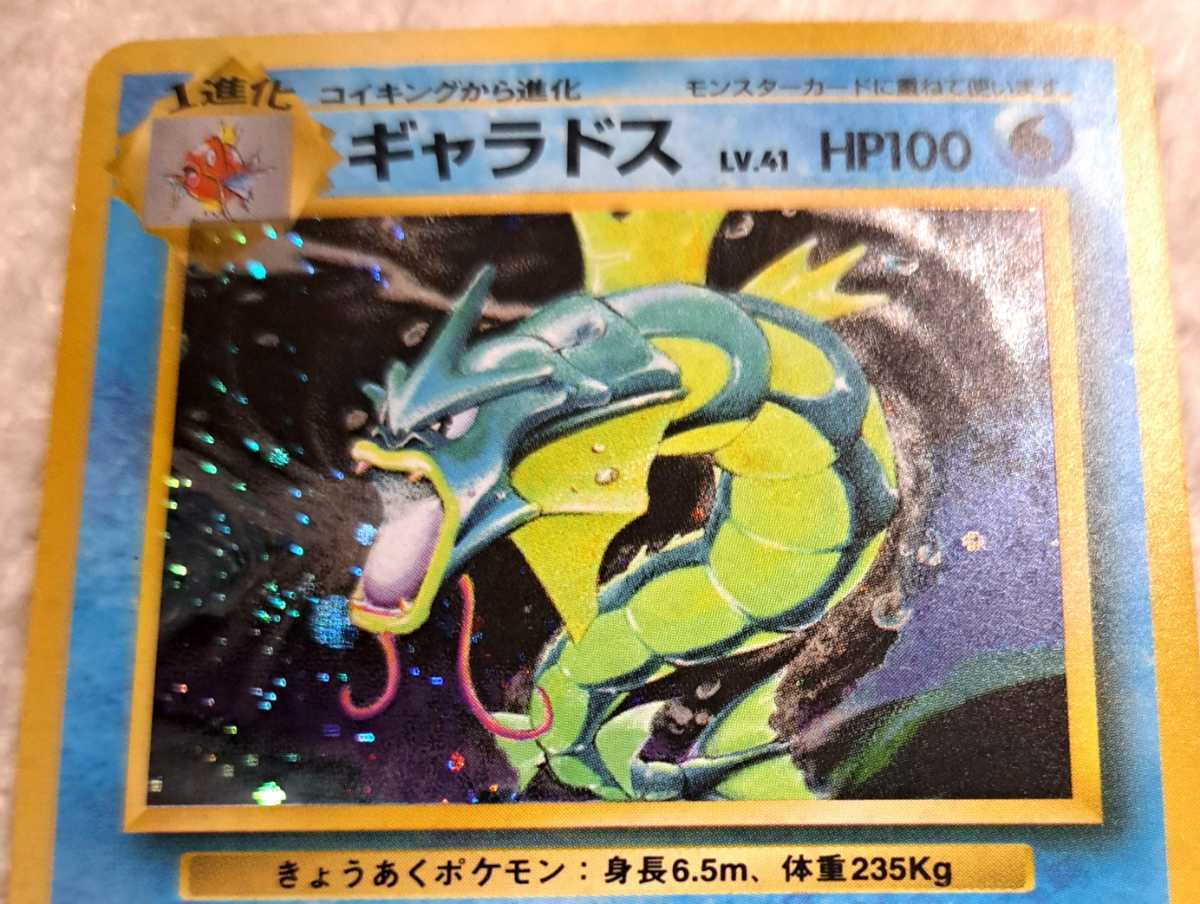 ポケモン英語【ひかるギャラドス】海外&旧裏面キラ【ギャラドス】2枚  