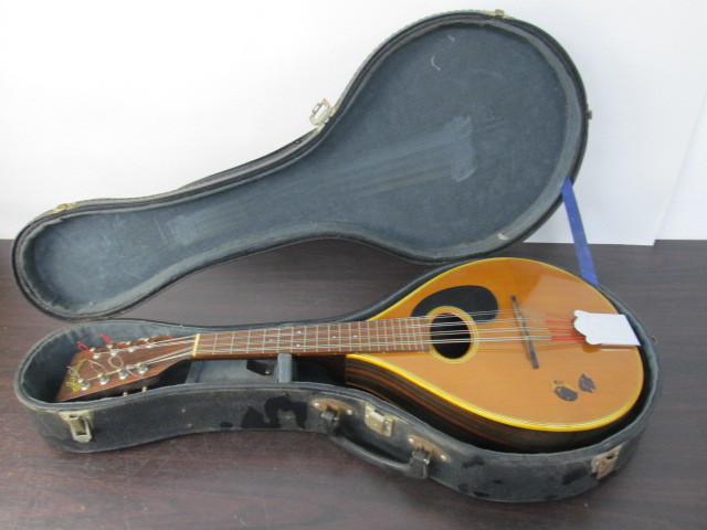 フラットマンドリン ジャンボ JUMBO 田原楽器 TAHARA 弦楽器 JM-50