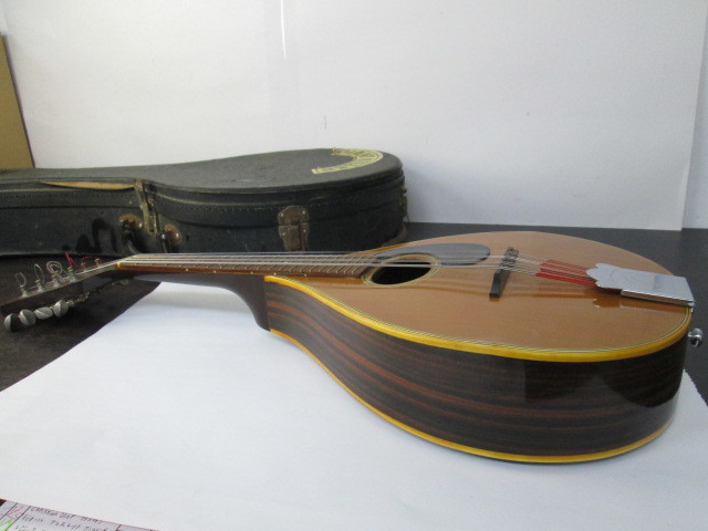 フラットマンドリン ジャンボ JUMBO 田原楽器 TAHARA 弦楽器 JM-50