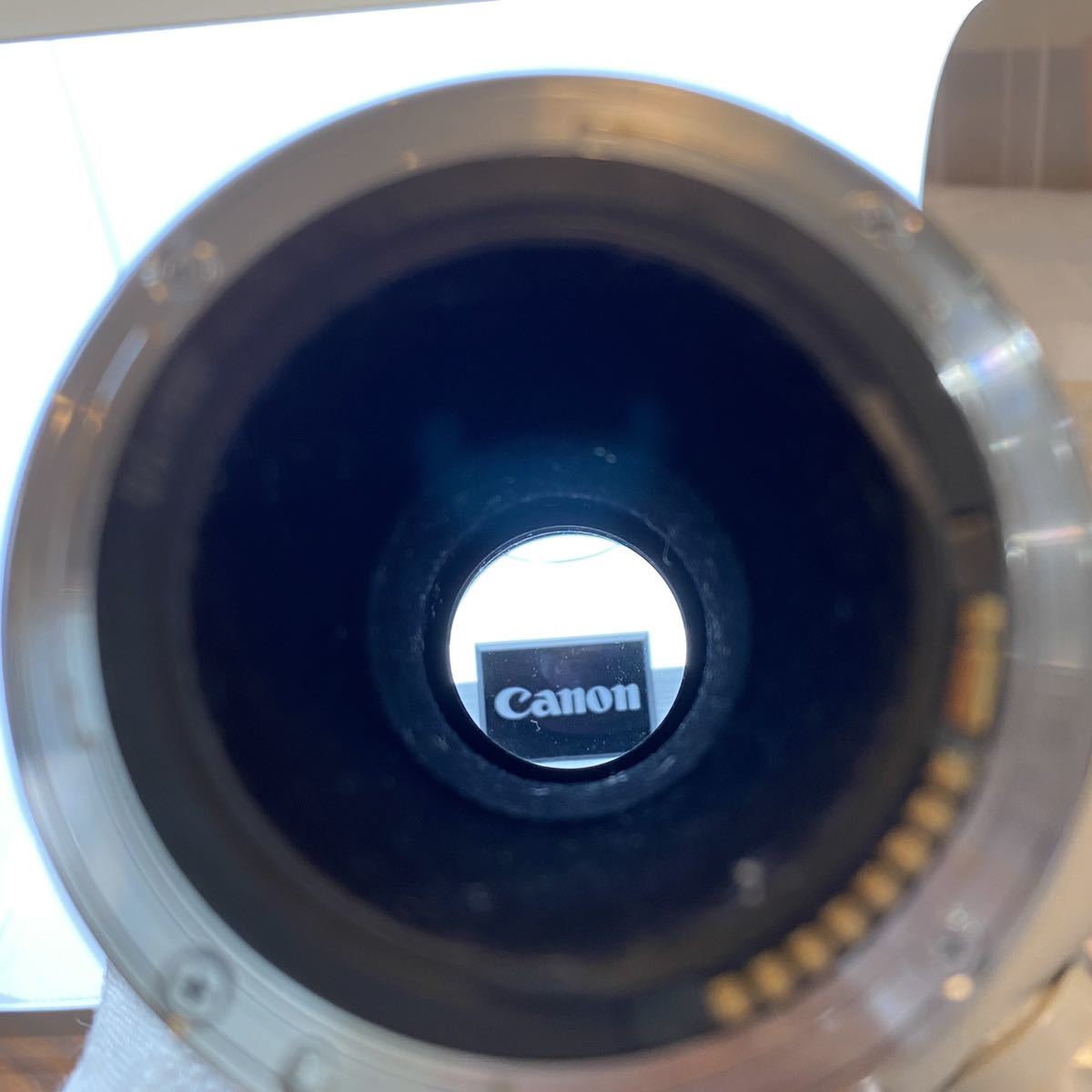 Canon LENS EF 300mm F4L USM 単焦点ズームレンズ