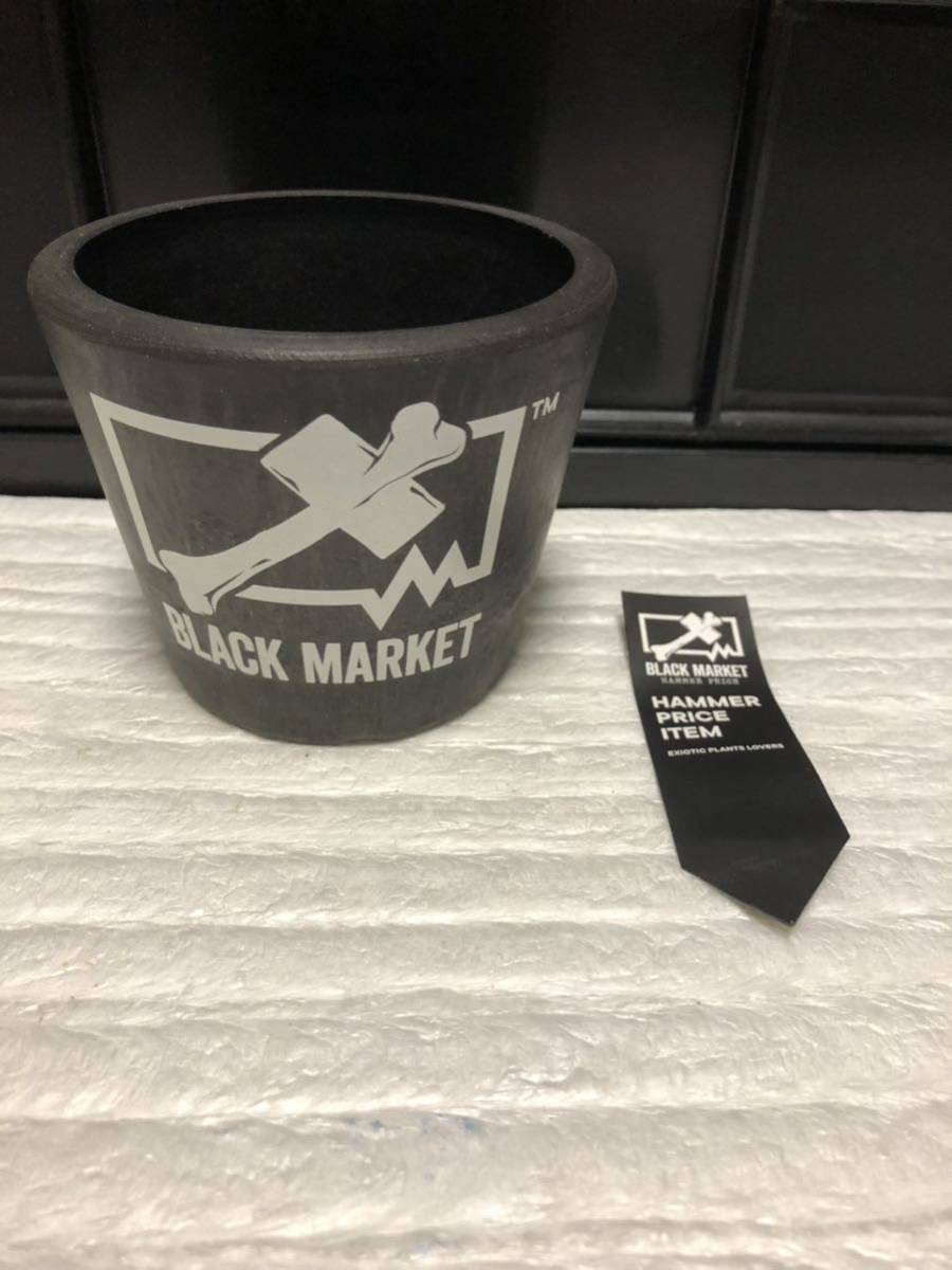 BLACK MARKET x BOTANIZE 植木鉢 S 、M セット販売 アート用品 BLACK