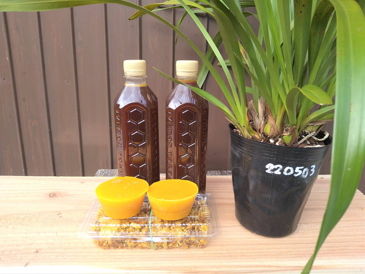 ニホンミツバチ 中古巣箱 分蜂 待ち箱 誘引液1000ml ニホンミツバチ