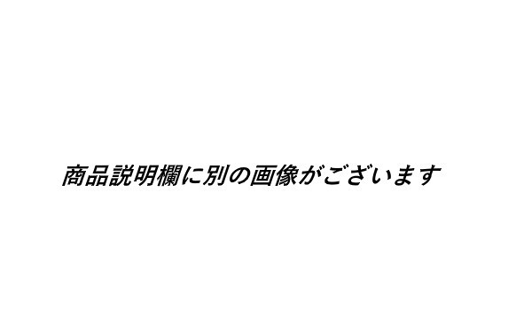 2 多胡碑 拓本 掛軸 金石文 日本三古碑 特別史跡