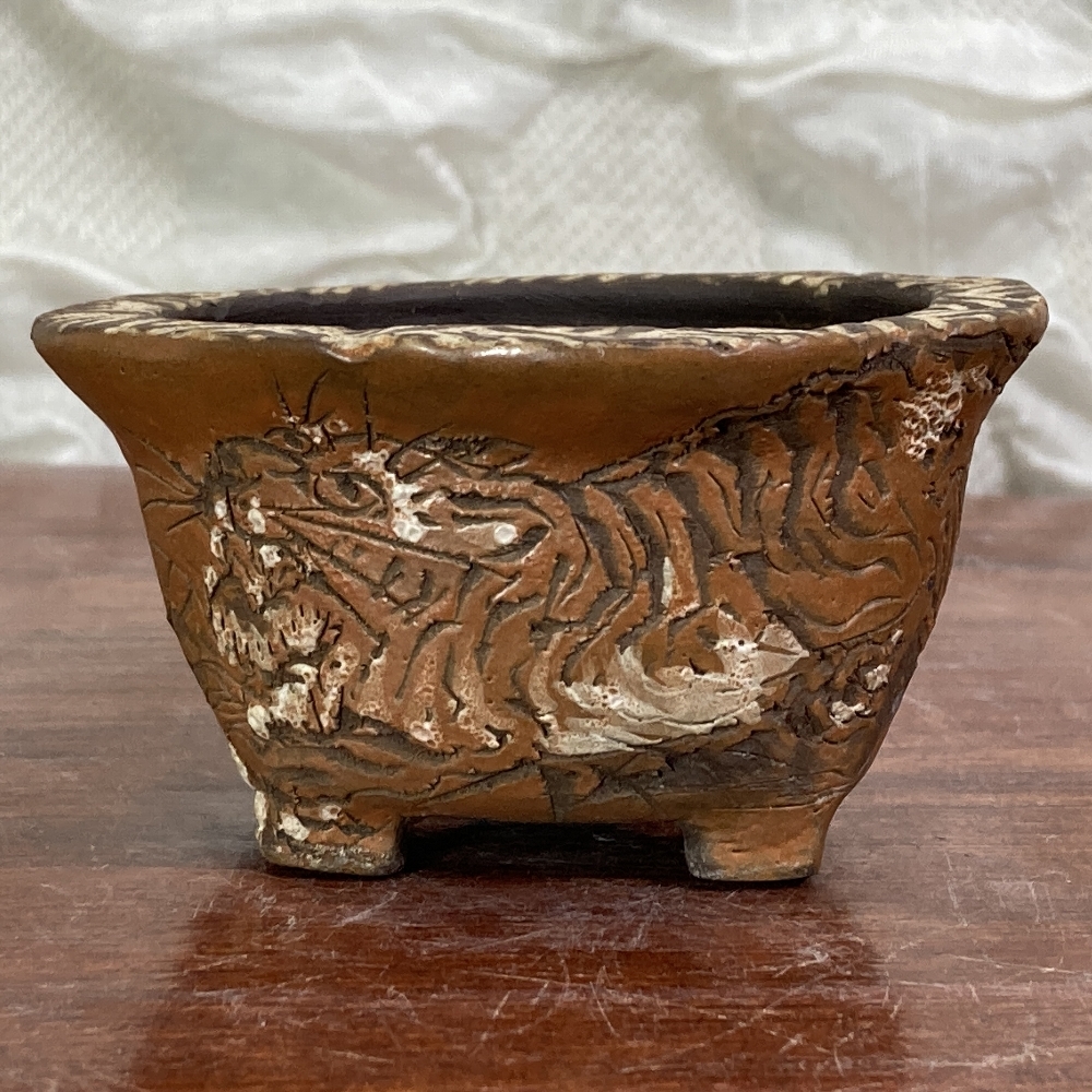 003.【浅井茶山作】龍翁陶器/変型鉢/盆栽鉢/木箱付き 成6】龍翁庵 品野茶山(浅井茶山)◇小品盆栽鉢 盆栽鉢 盆栽