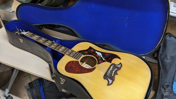 TOMSON GUITAR トムソン TGF-351 すがの木工製作所 アコースティック