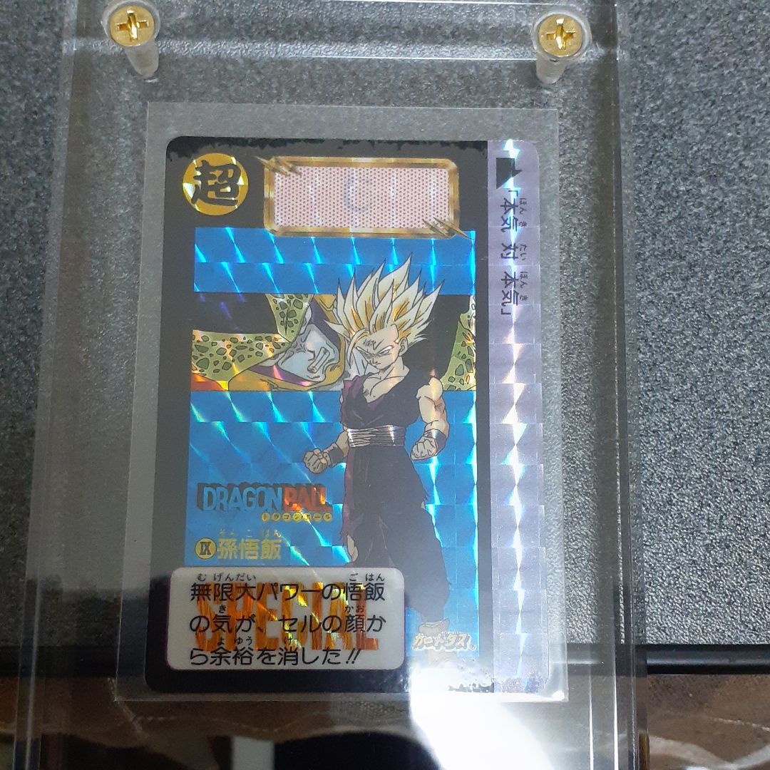 ドラゴンボール めちゃんこプロジェクト 孫悟飯 ドラゴンボール