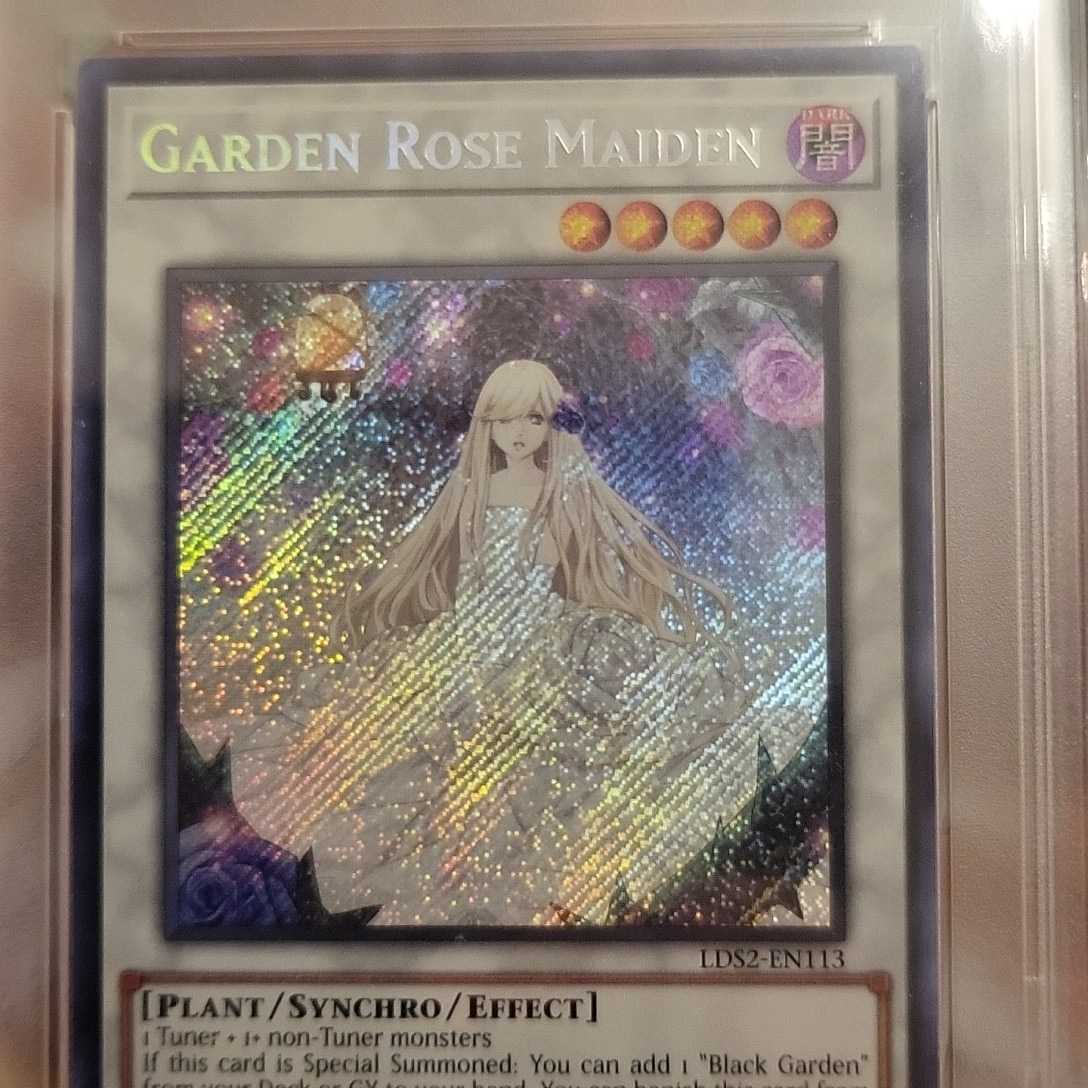 現存25枚】遊戯王 PSA10 英語版 ガーデン・ローズ・メイデン 
