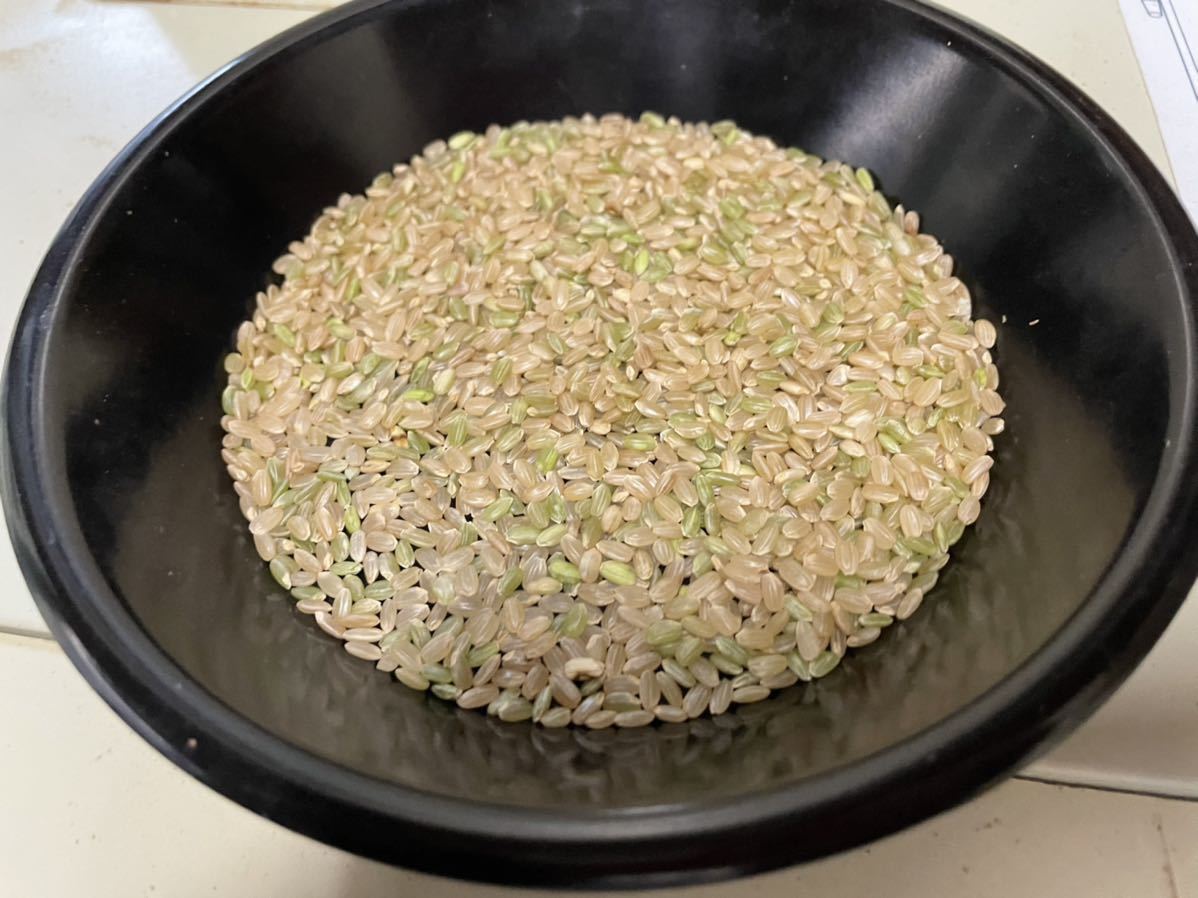 魚沼産コシヒカリ　中米　10キロ