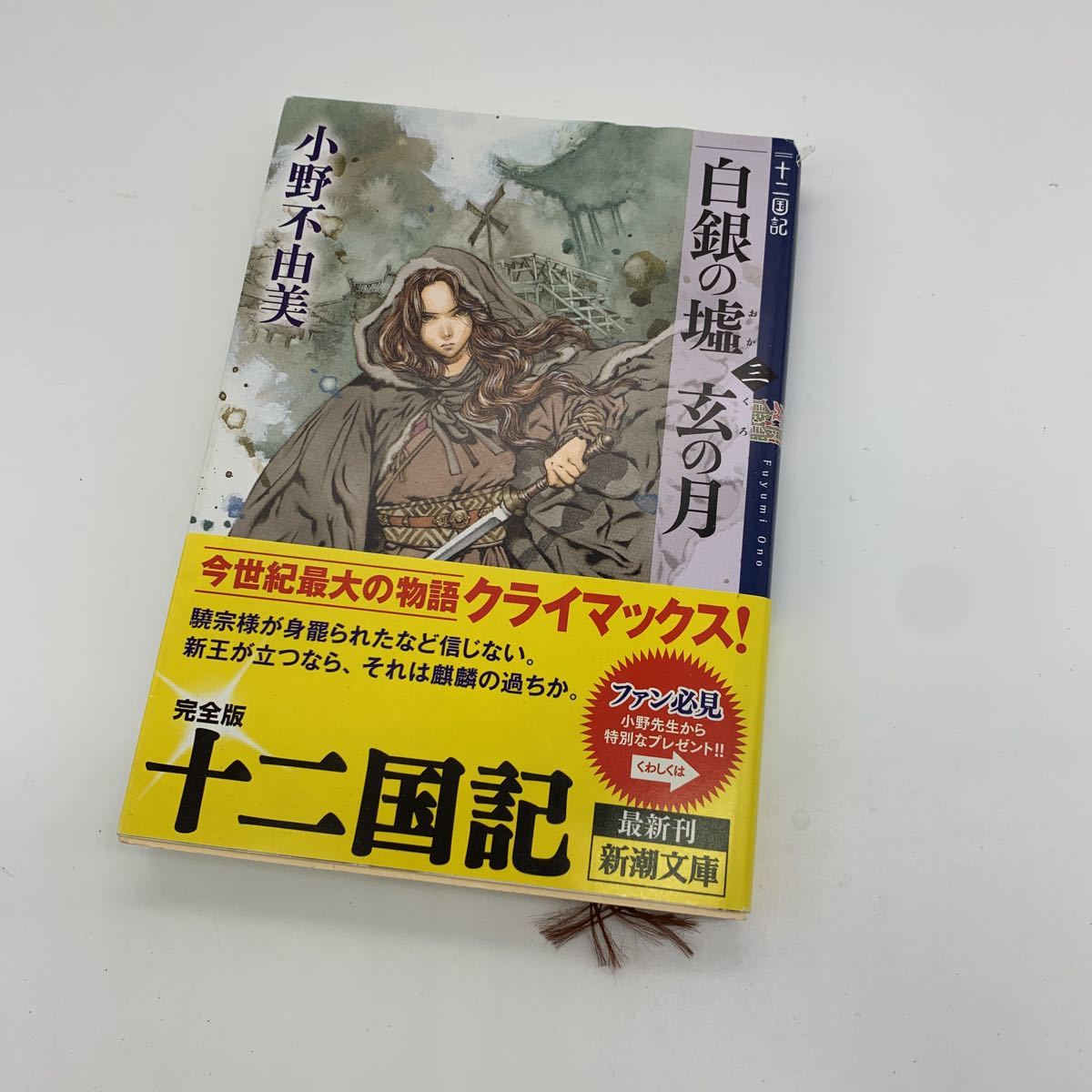 文庫本 完全版 十二国記 白銀の墟 玄の月 小野不由美 新潮文庫 管理 