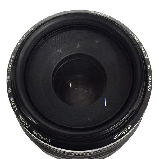 CANON ZOOM LENS EF 75-300mm 1:4-5.6 IS カメラレンズ キャノン