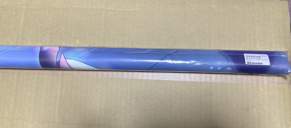 狗神煌先生 新規描き下ろし B2タペストリー＆直筆サイン入り年賀状 枕