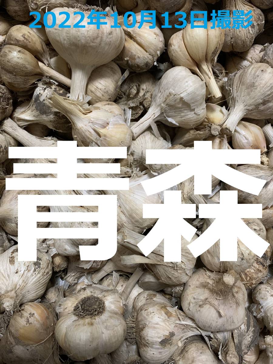 青森県産にんにく5kg Mサイズ ニンニク5キロ 福地ホワイト6片種 訳